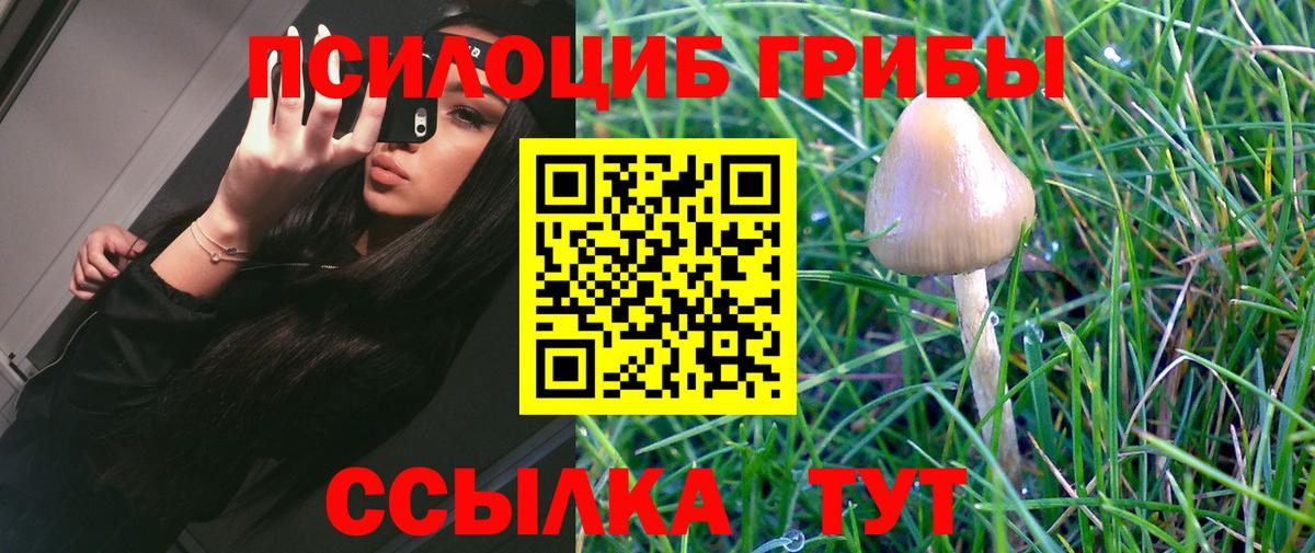 Галлюциногенные грибы MAGIC MUSHROOMS  Вход с VPN  Галлюциногенные грибы MAGIC MUSHROOMS  Луховицы 